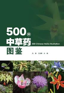 网瘾少年的生活