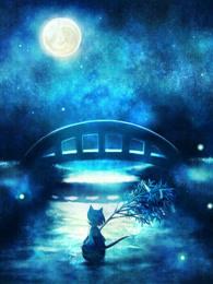 目标新大陆