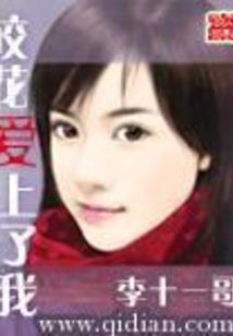 琉璃流离天下