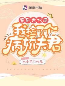 仙家萌喵娇养成