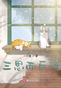 夜城飘雪一锦年