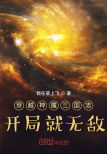 完美下的复仇