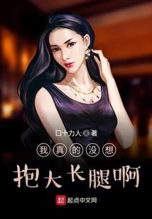 虚拟世界—天启