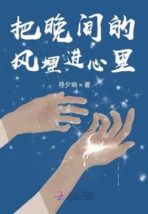 浅秋夜静鸥
