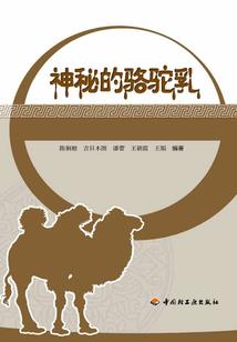 圣道三生三世