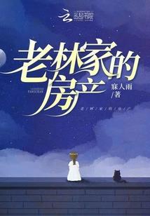 随风觅影