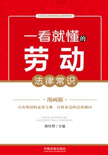 神奇宝贝之一辉传奇